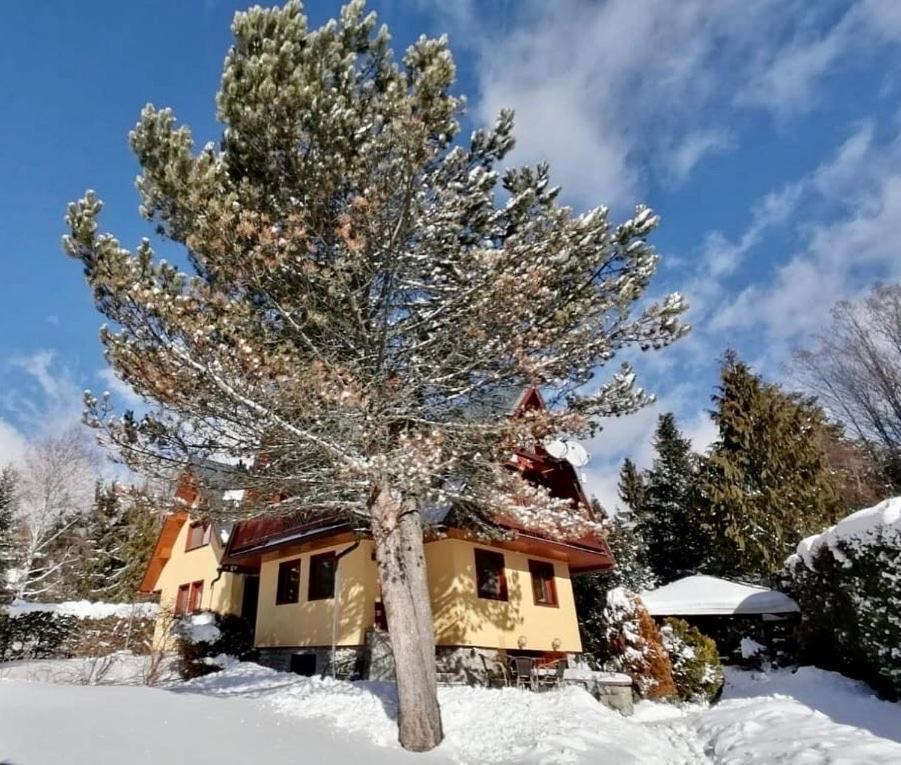 Chata Pod Gerlachom Stola Bagian luar foto
